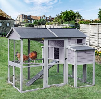 medium sized chicken coop with 2 chickens inside